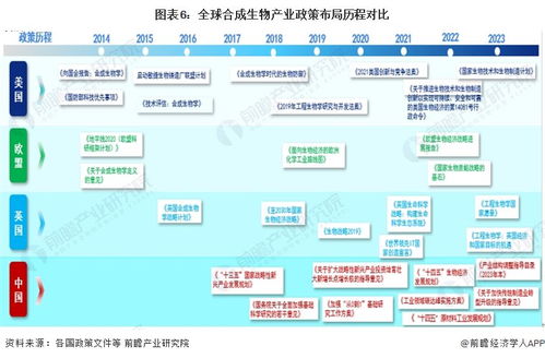 2024年中國合成生物產業全景圖譜 規模躍升、區域集聚與技術突破